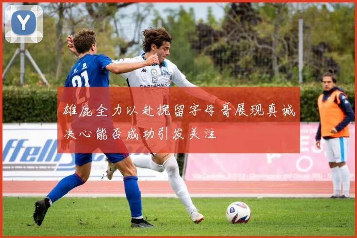 雄鹿全力以赴挽留字母哥展现真诚决心能否成功引发关注