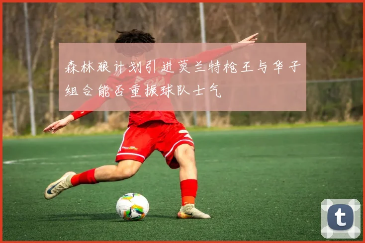 森林狼计划引进莫兰特枪王与华子组合能否重振球队士气