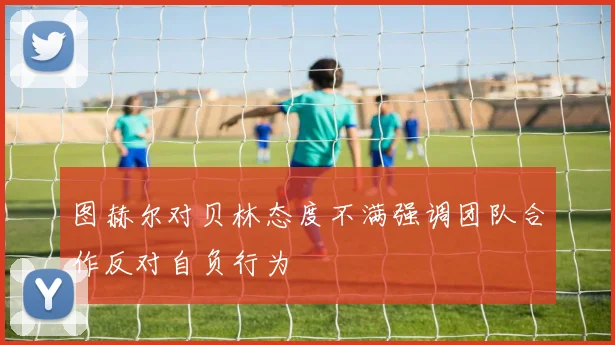 图赫尔对贝林态度不满强调团队合作反对自负行为