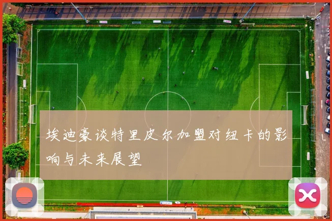 埃迪豪谈特里皮尔加盟对纽卡的影响与未来展望